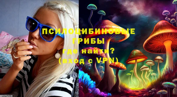 ECSTASY Армянск