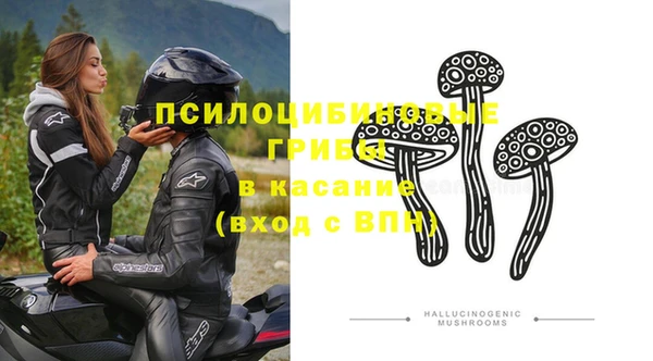 мескалин Арсеньев