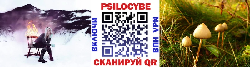 Галлюциногенные грибы Psilocybe  где можно купить   Старая Русса 